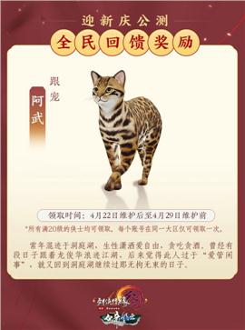 绵阳天龙八部私服